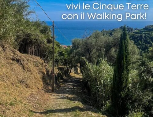 Hiking in the Cinque Terre National Park from October 5th to 10th, 2024