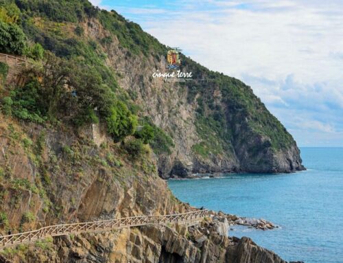 Out of season in the Cinque Terre, on trails between heroic vineyards. And away from the crowds