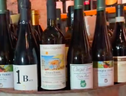 A journey through the history of wine in the Cinque Terre